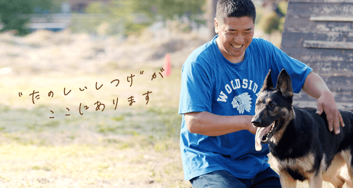 “たのしいしつけ”がここにあります｜茨城県つくば市の犬のしつけ・訓練・トレーニングなら「ドッグスクール山口」