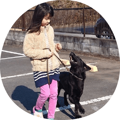 サービス内容｜茨城県つくば市の犬のしつけ・訓練・トレーニングなら「ドッグスクール山口」