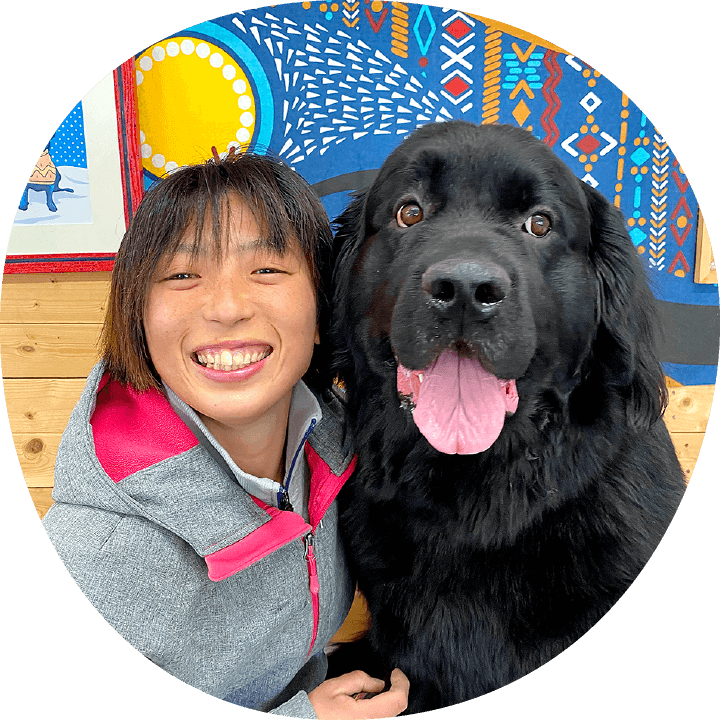 スタッフ紹介｜茨城県つくば市の犬のしつけ・訓練・トレーニングなら「ドッグスクール山口」