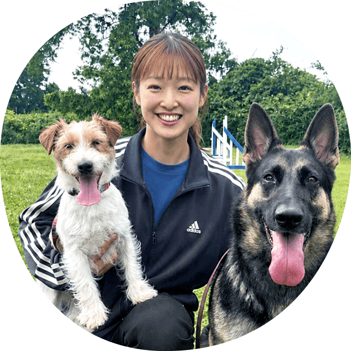 スタッフ紹介｜茨城県つくば市の犬のしつけ・訓練・トレーニングなら「ドッグスクール山口」