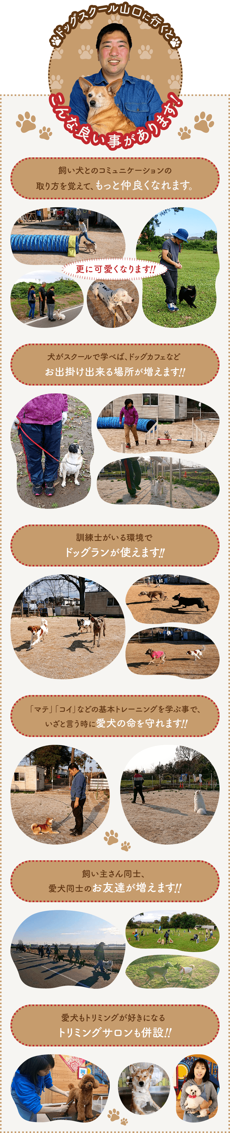 しつけの仕方｜茨城県つくば市の犬のしつけ・訓練・トレーニングなら「ドッグスクール山口」