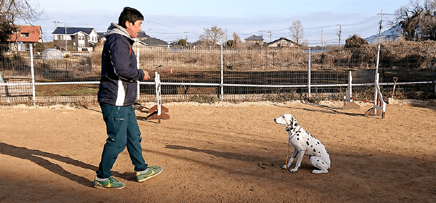 しつけの仕方｜茨城県つくば市の犬のしつけ・訓練・トレーニングなら「ドッグスクール山口」