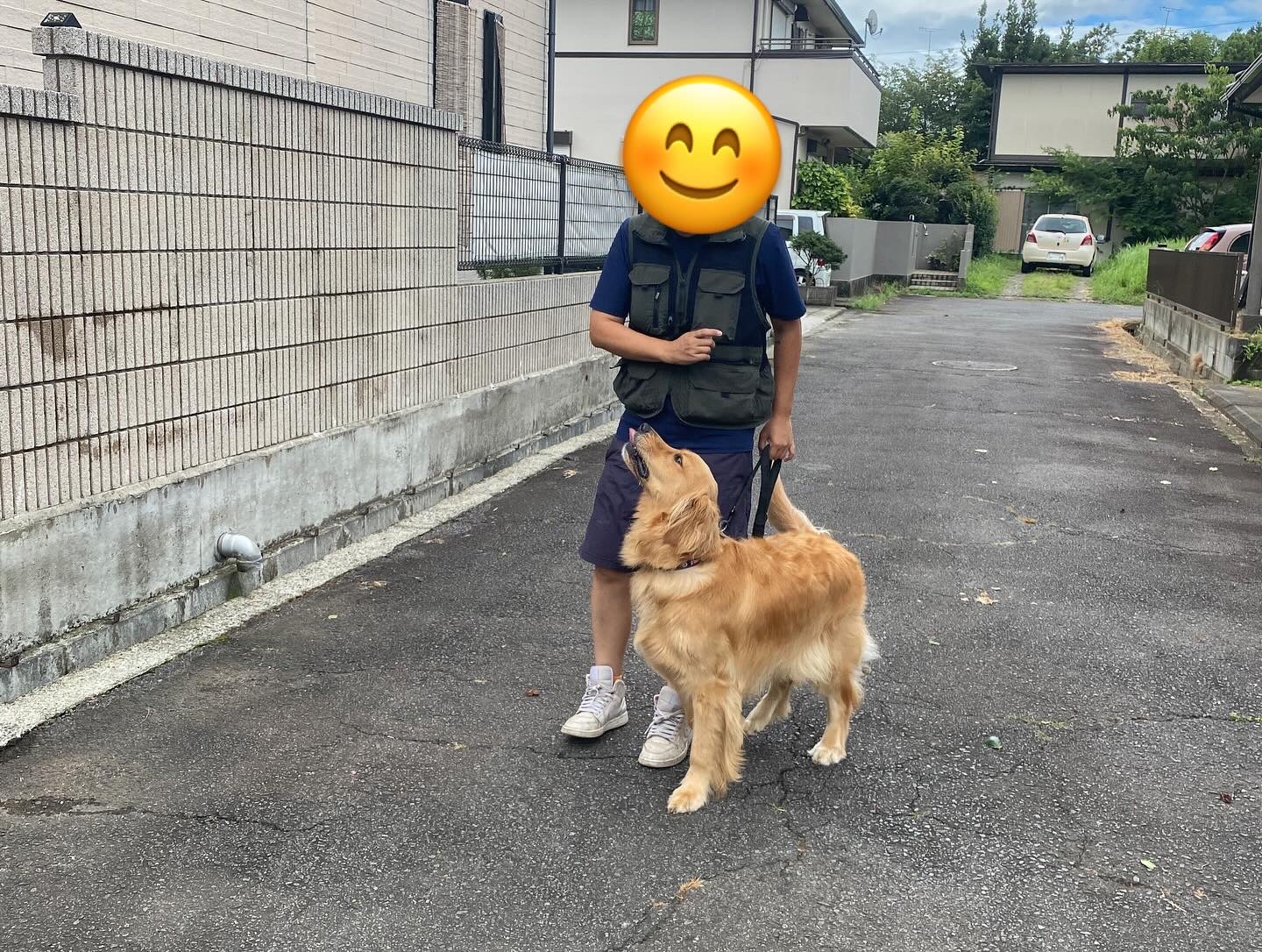 飼い主さんへのレッスンが大切です。page-visual 飼い主さんへのレッスンが大切です。ビジュアル