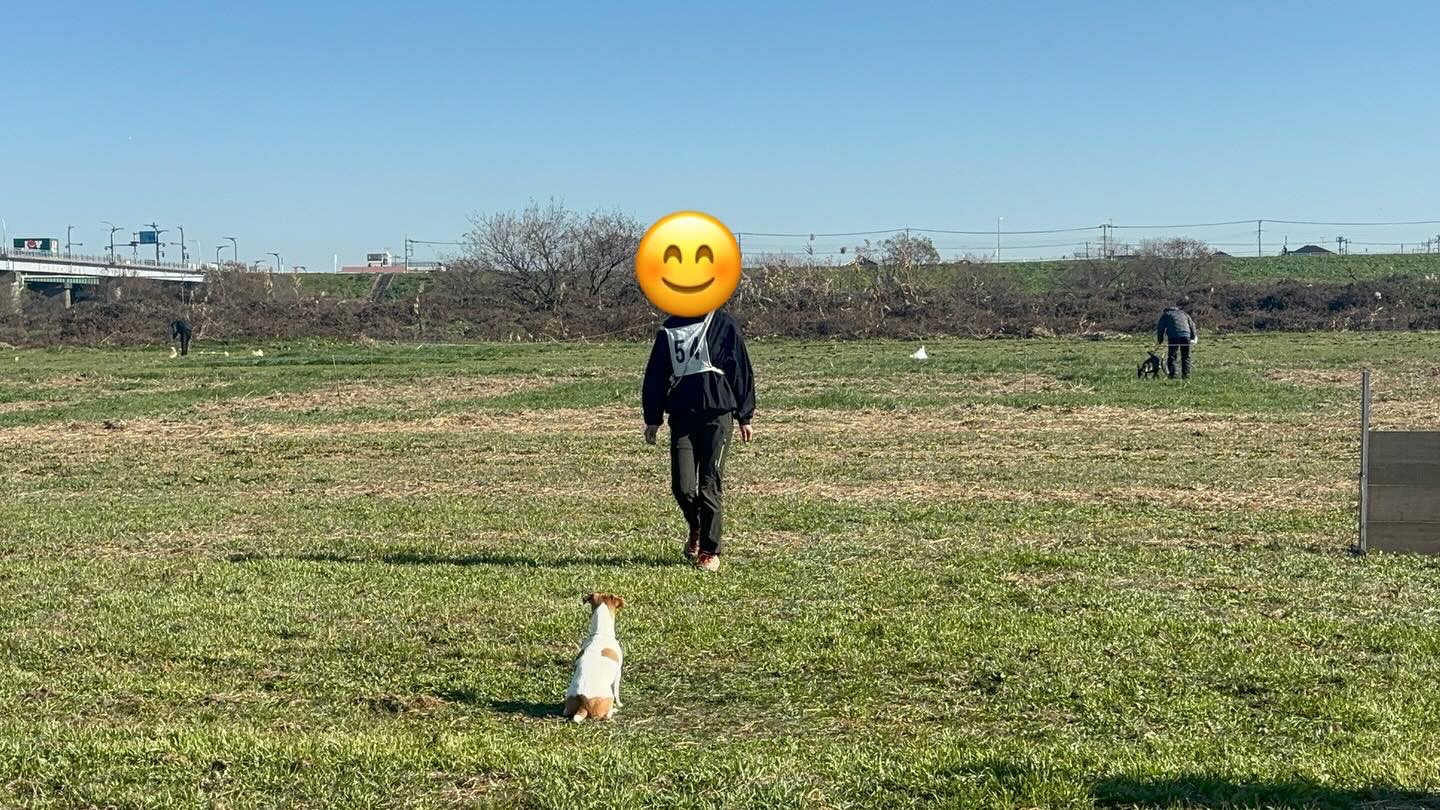 埼玉訓練士会競技会page-visual 埼玉訓練士会競技会ビジュアル