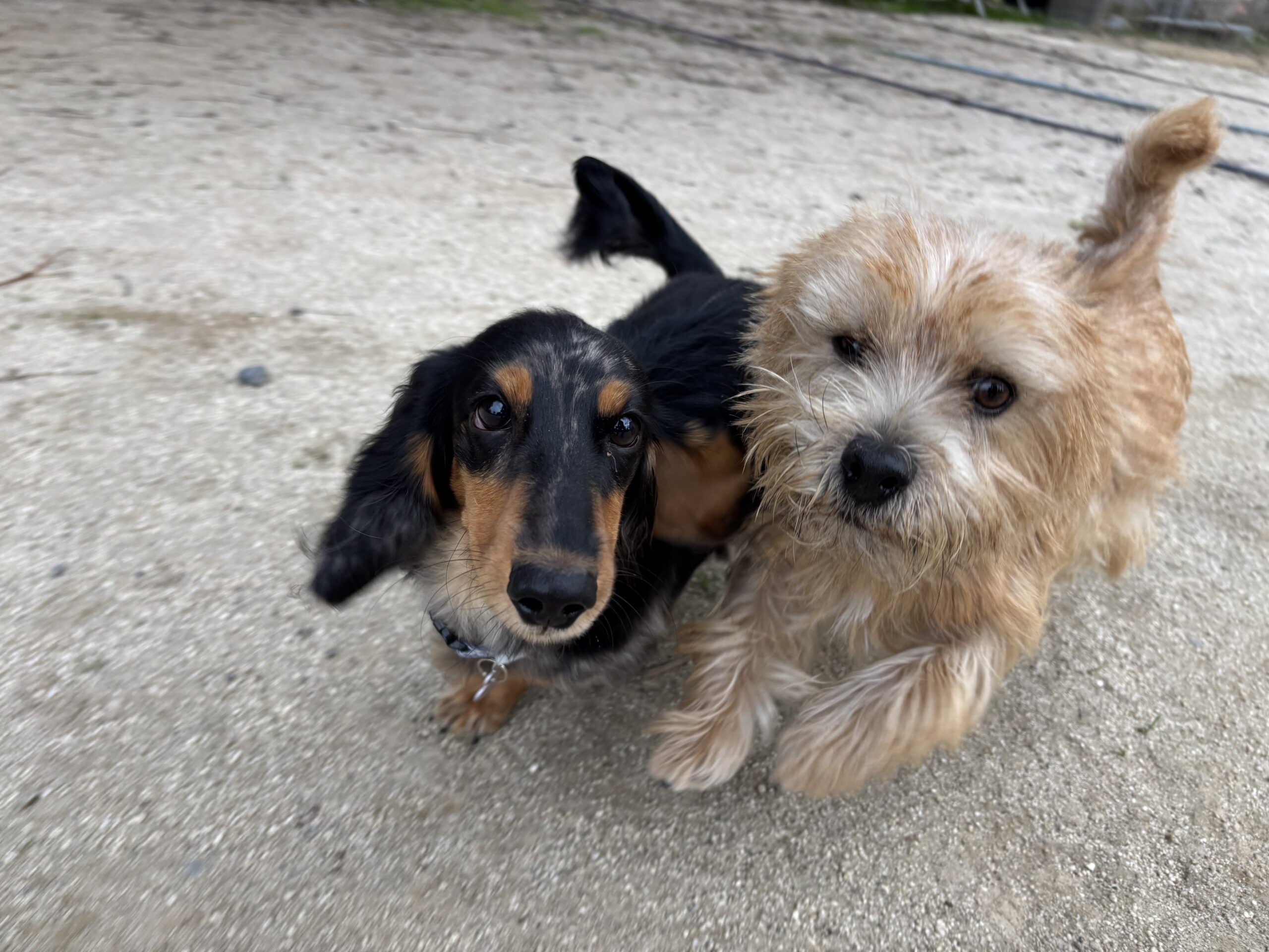 冬到来？page-visual 冬到来？ビジュアル