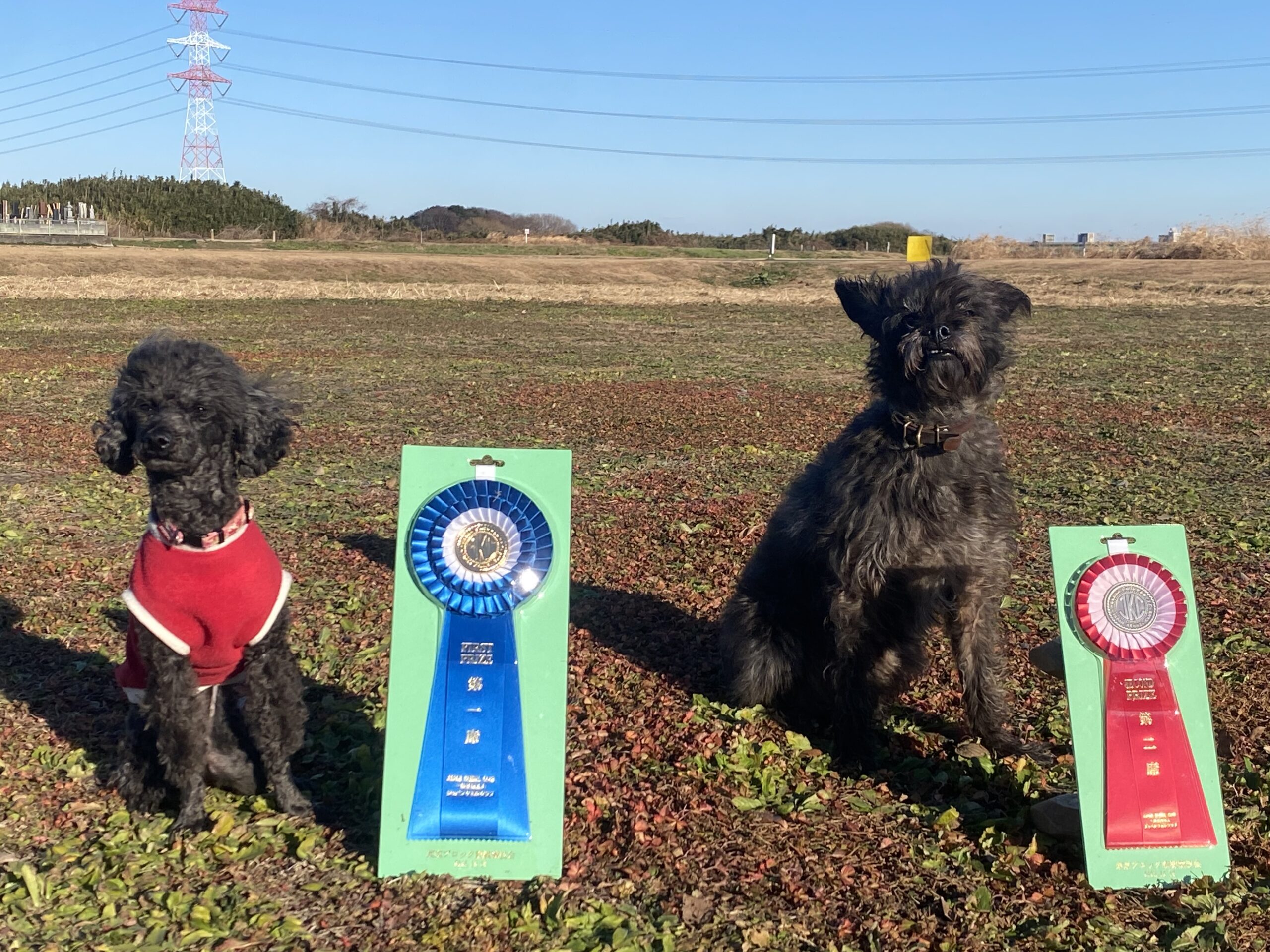 page-visual ビジュアル