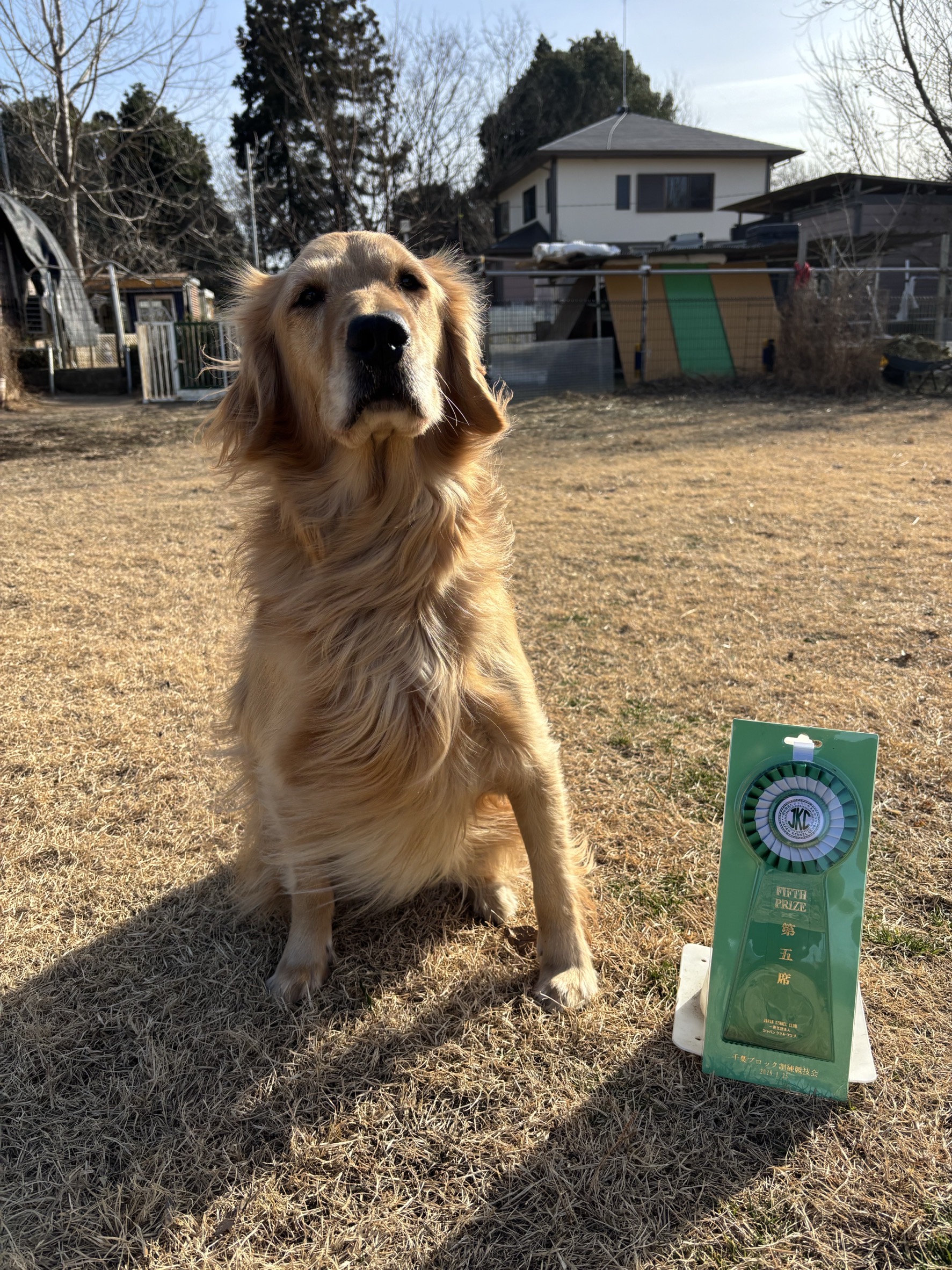 JKC 千葉ブロック競技会page-visual JKC 千葉ブロック競技会ビジュアル