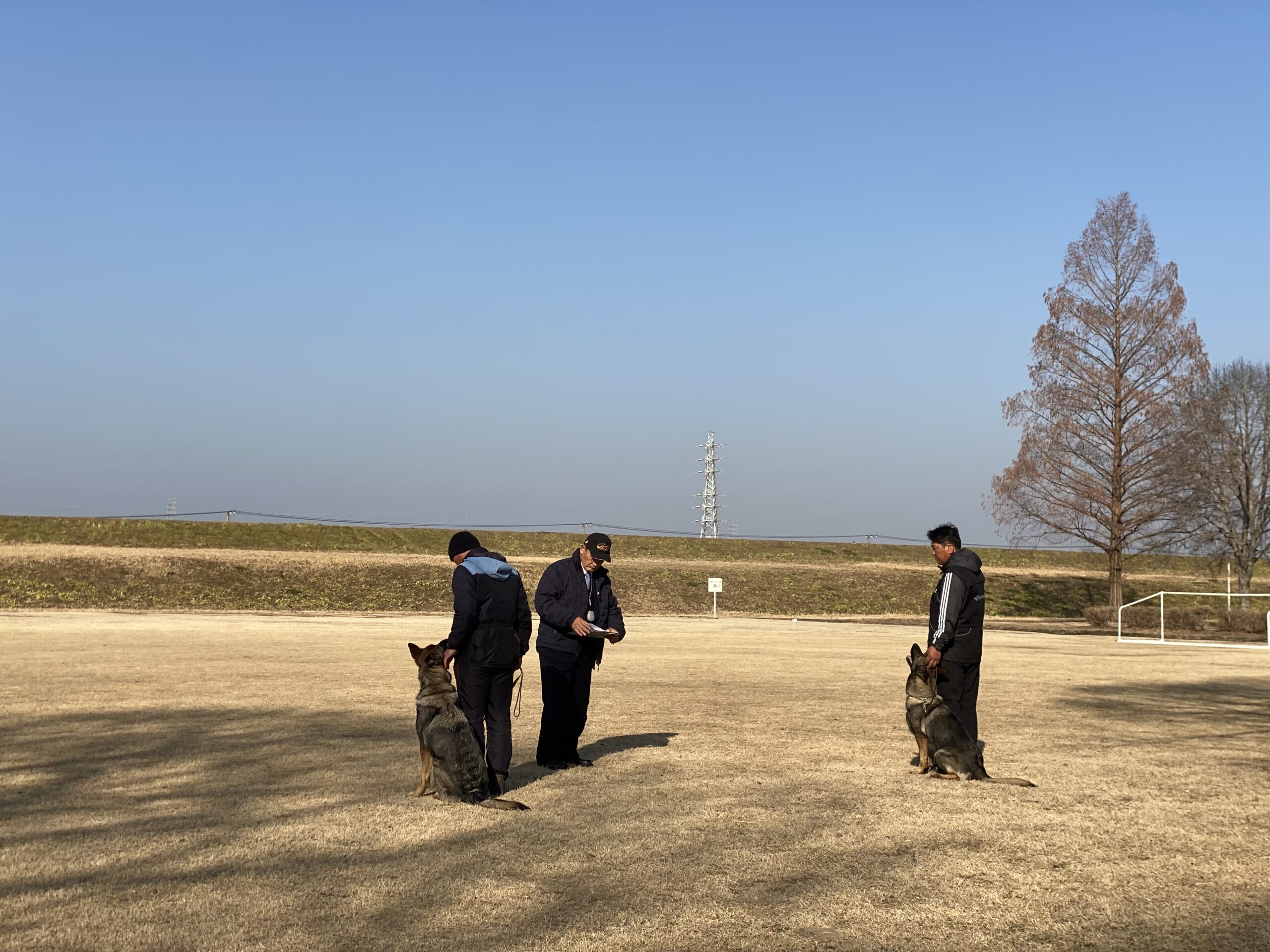 競技会&訓練試験page-visual 競技会&訓練試験ビジュアル