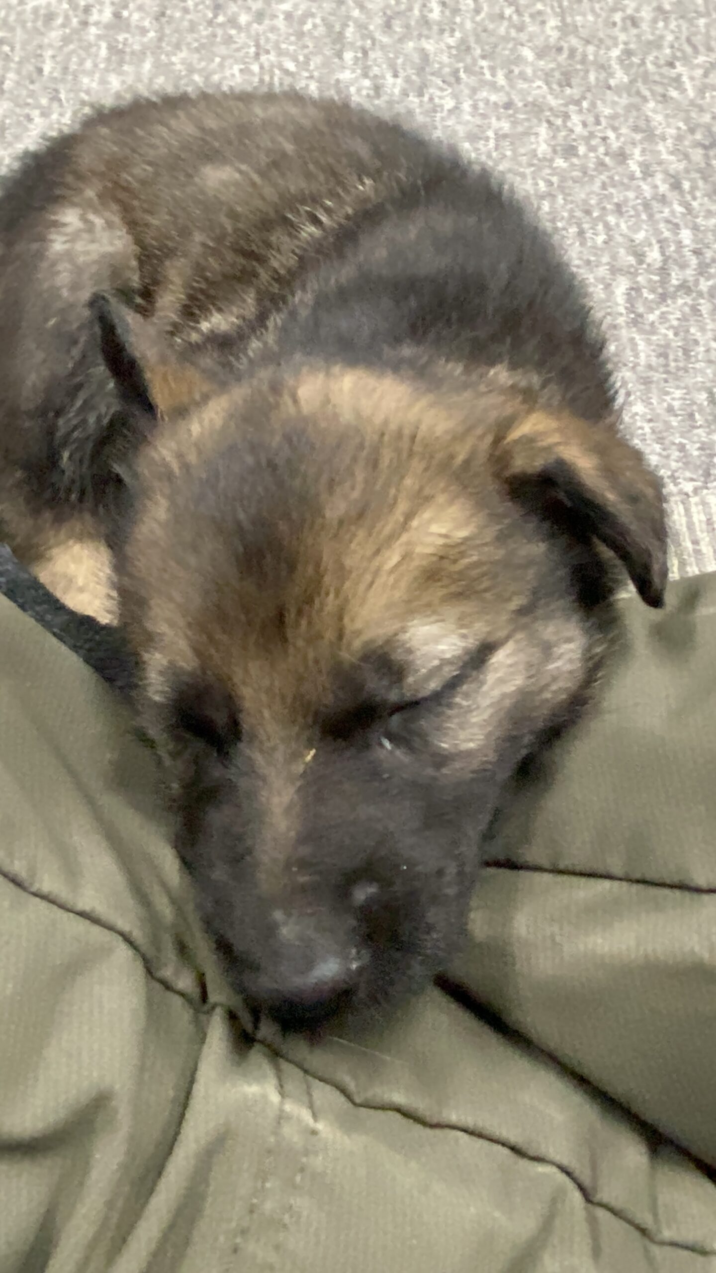 寝る子は育つpage-visual 寝る子は育つビジュアル