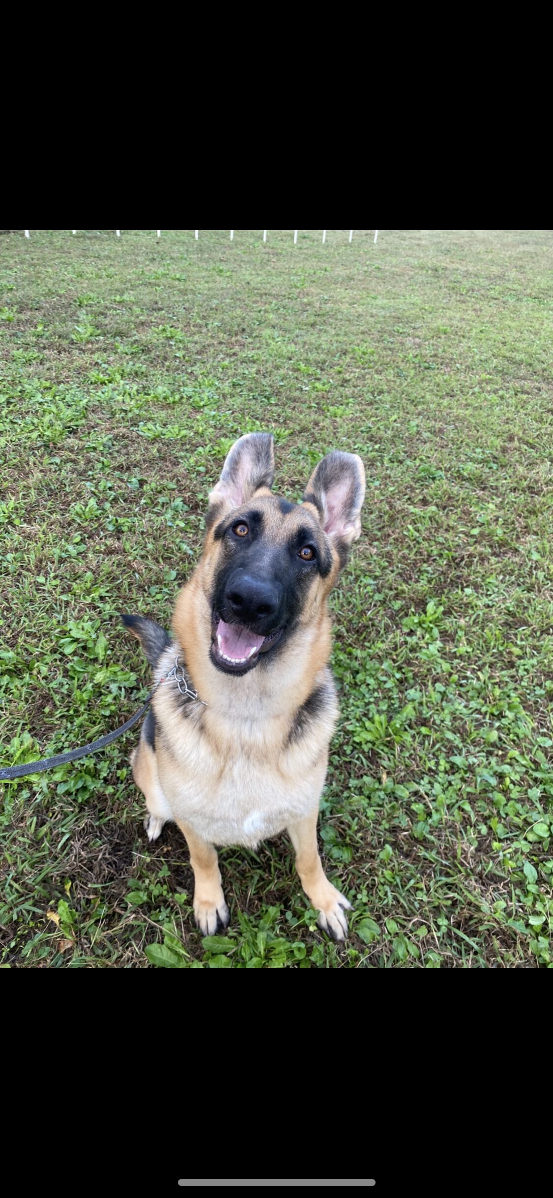 モナカちゃん@オーナー募集page-visual モナカちゃん@オーナー募集ビジュアル