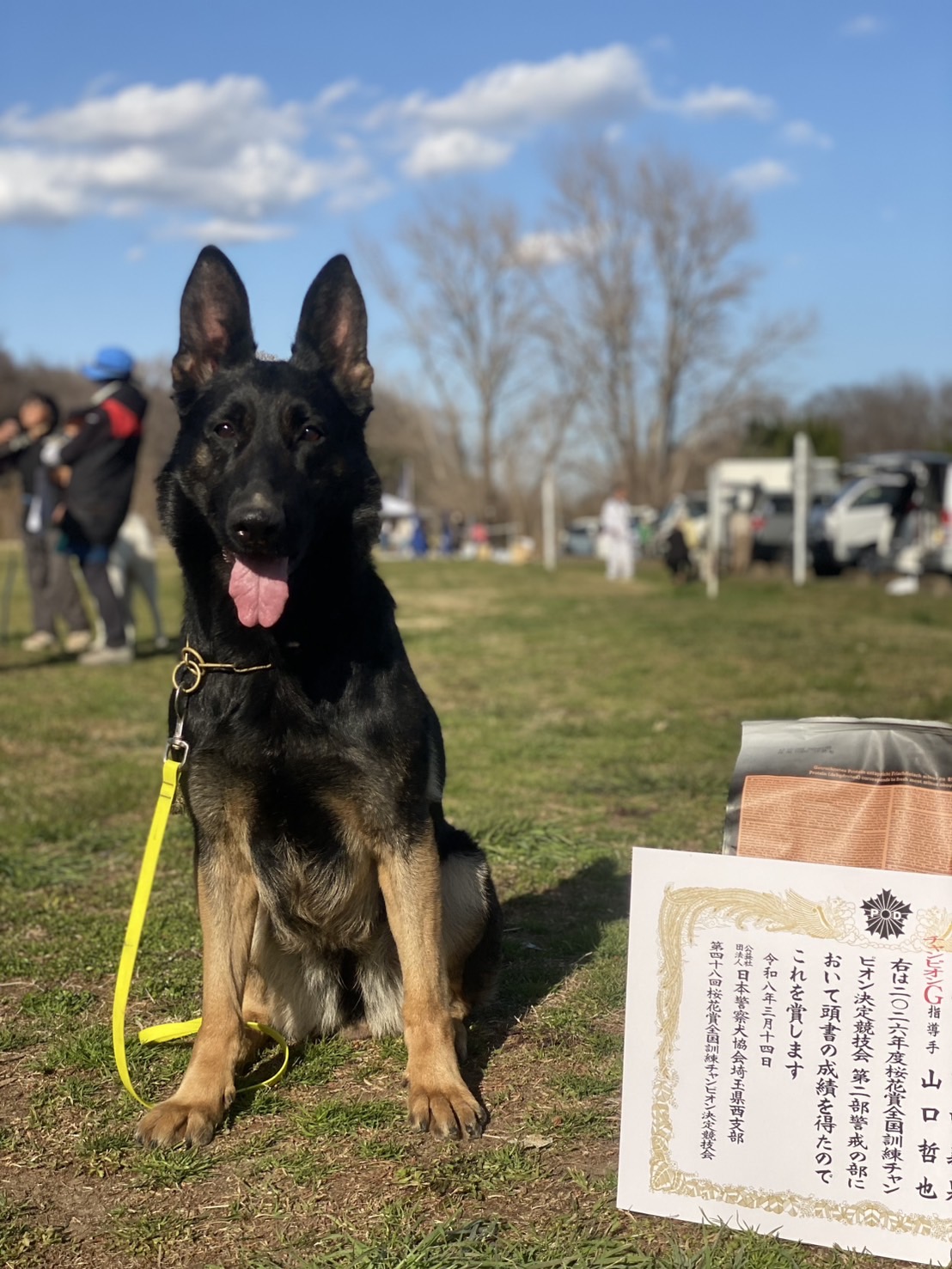 桜花賞@キセキpage-visual 桜花賞@キセキビジュアル