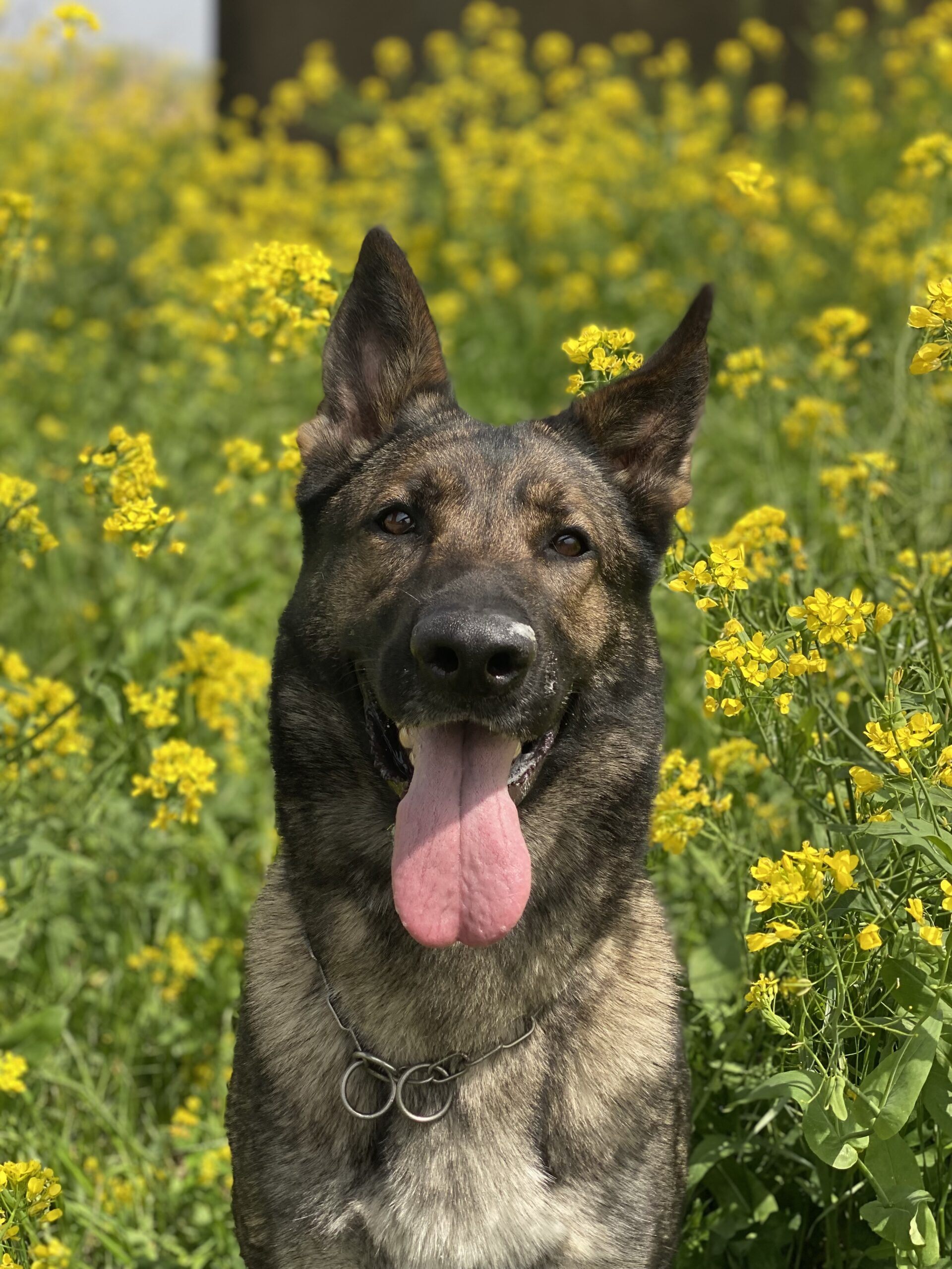 蓮ちゃんpage-visual 蓮ちゃんビジュアル