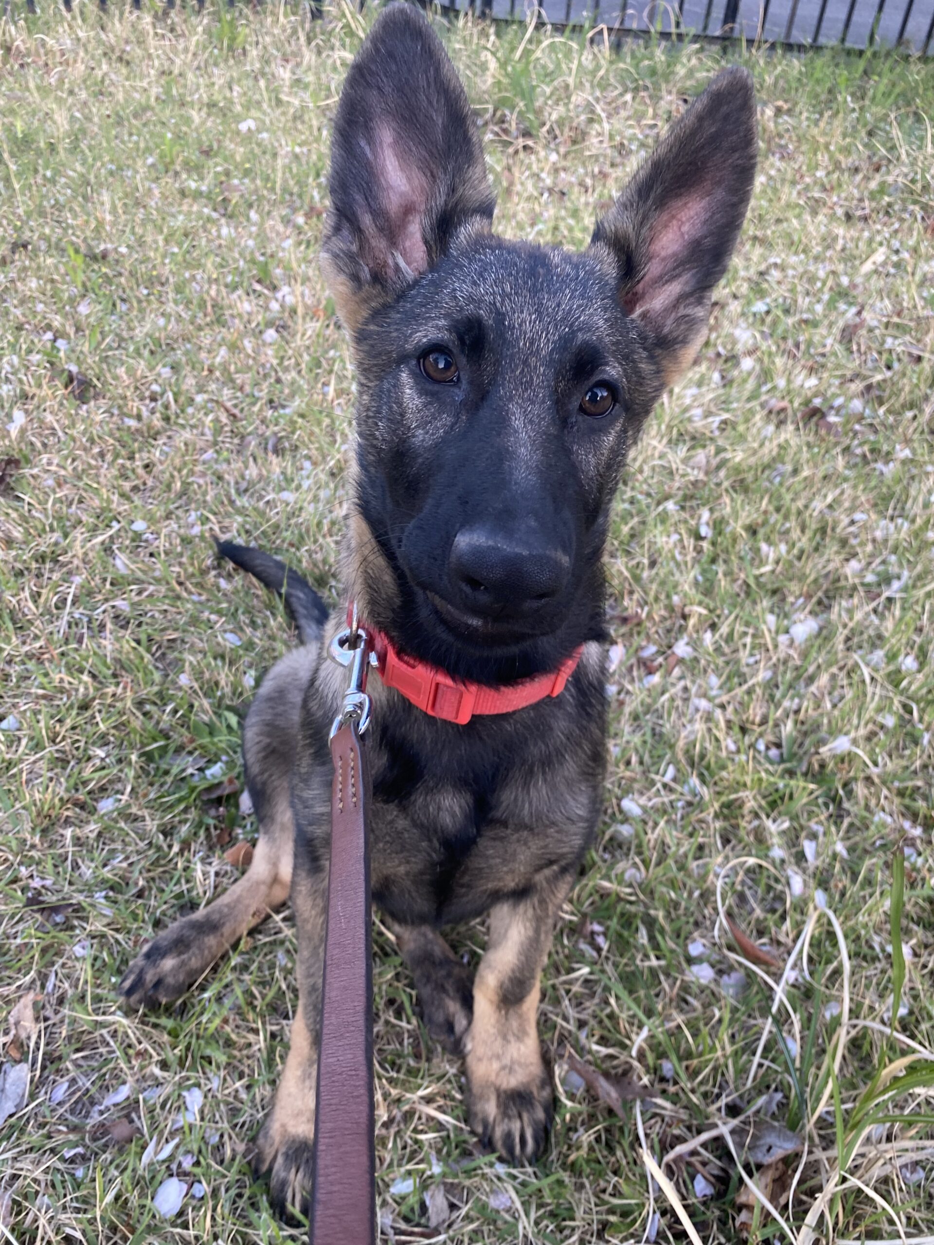 カンナですpage-visual カンナですビジュアル