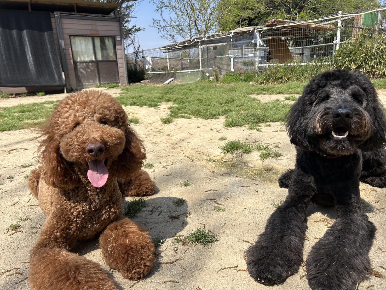 page-visual ビジュアル