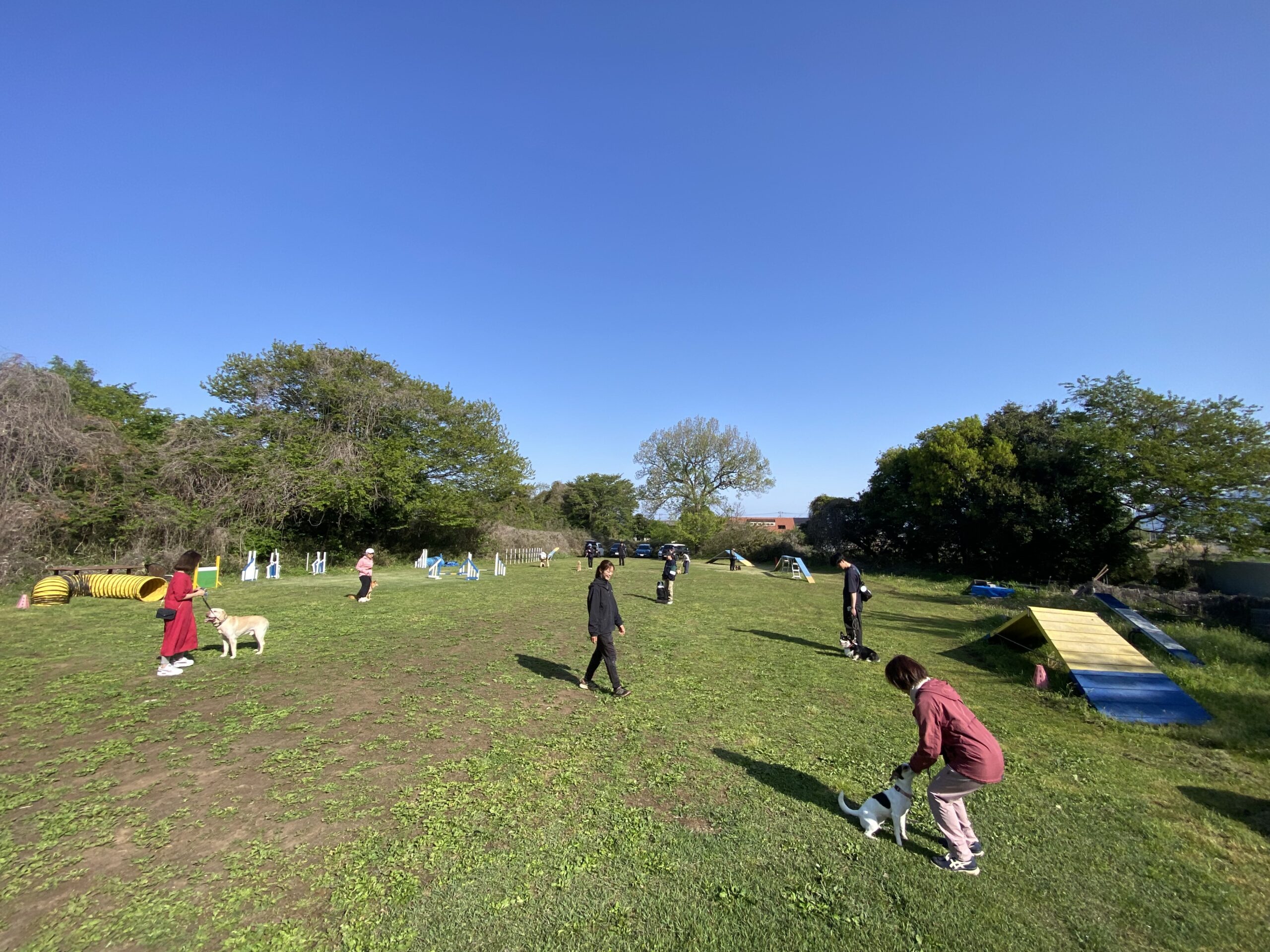 グループレッスンpage-visual グループレッスンビジュアル